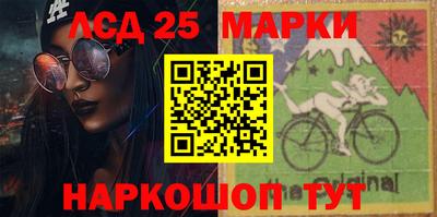 гашик Гудермес
