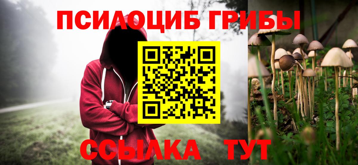 Псилоцибиновые грибы Psilocybe  Вход с VPN  наркошоп  Воскресенск  Галлюциногенные грибы MAGIC MUSHROOMS 
