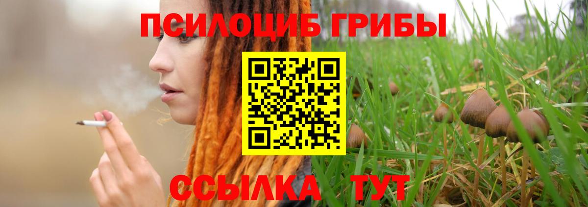 Галлюциногенные грибы GOLDEN TEACHER Воскресенск